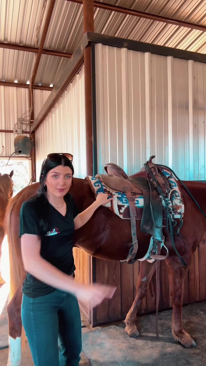 @5 Star Equine