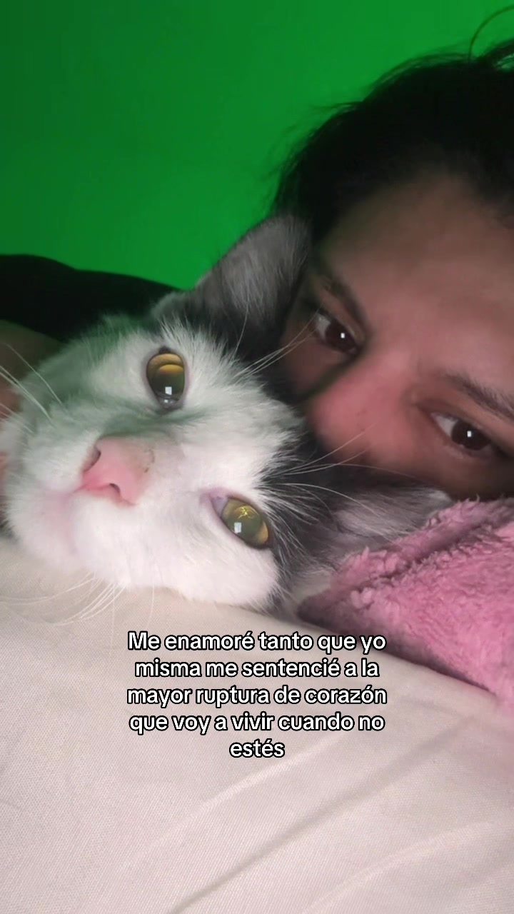 @andrea_nvz