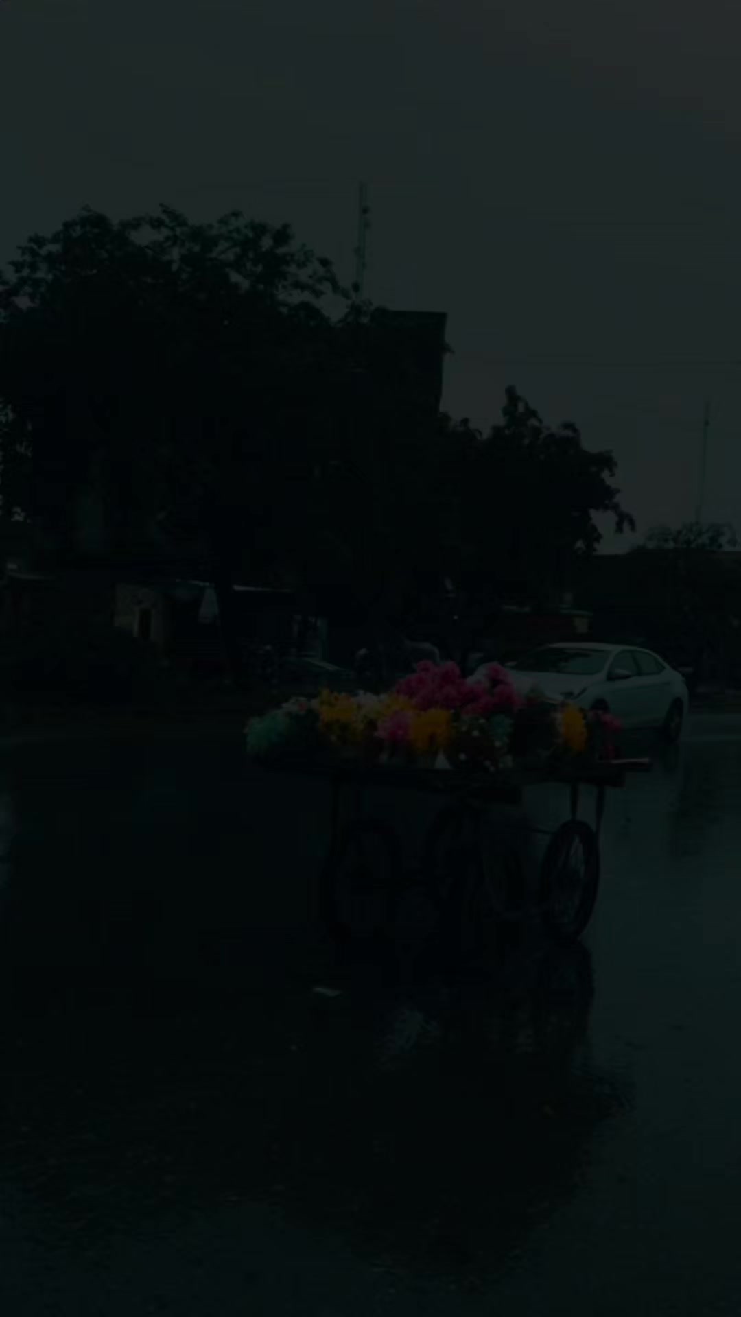 @𝗔𝗗𝗡𝗔𝗡🖤