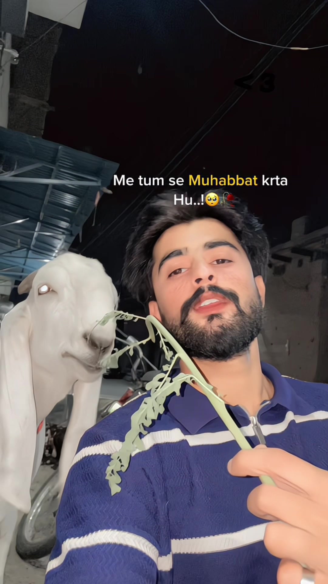 @U〽️Ar Rehmani_05