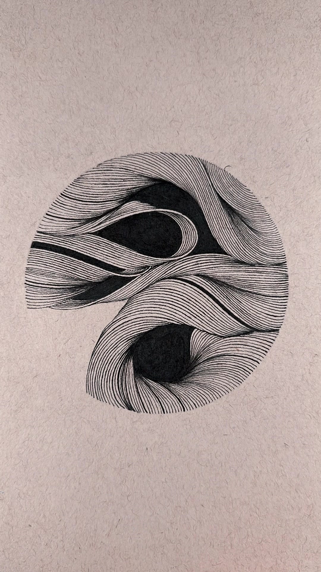 @Angel Draws