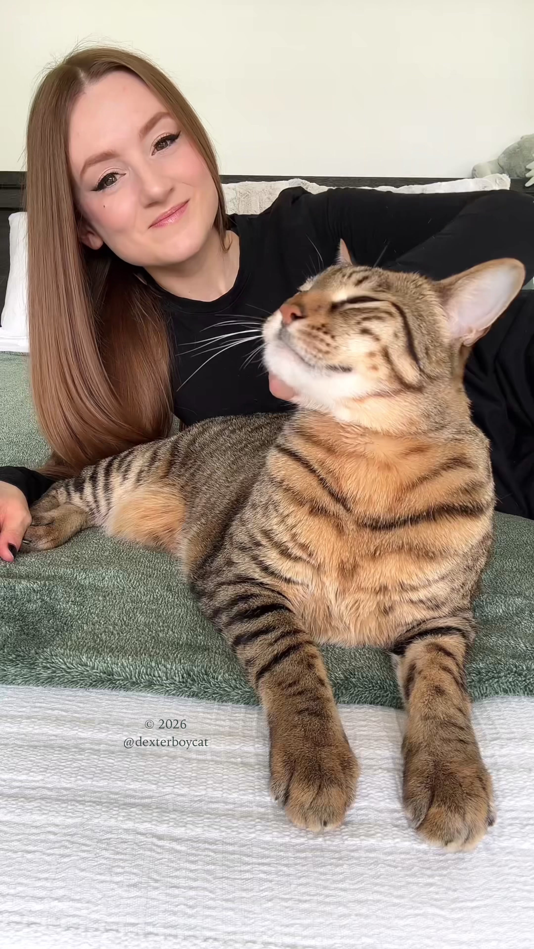 @dexterboycat 🐆♥️