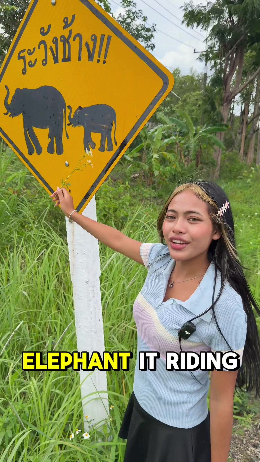 @Hello Siri Sun