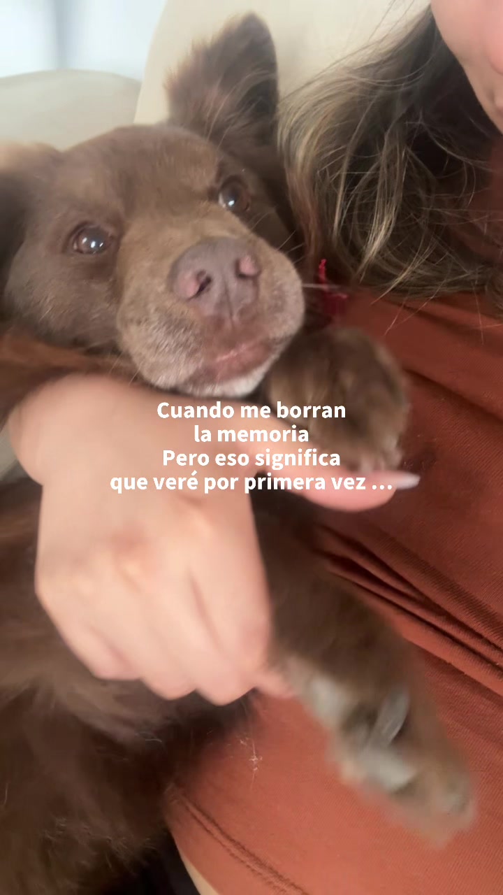 @Nicole Alexandra