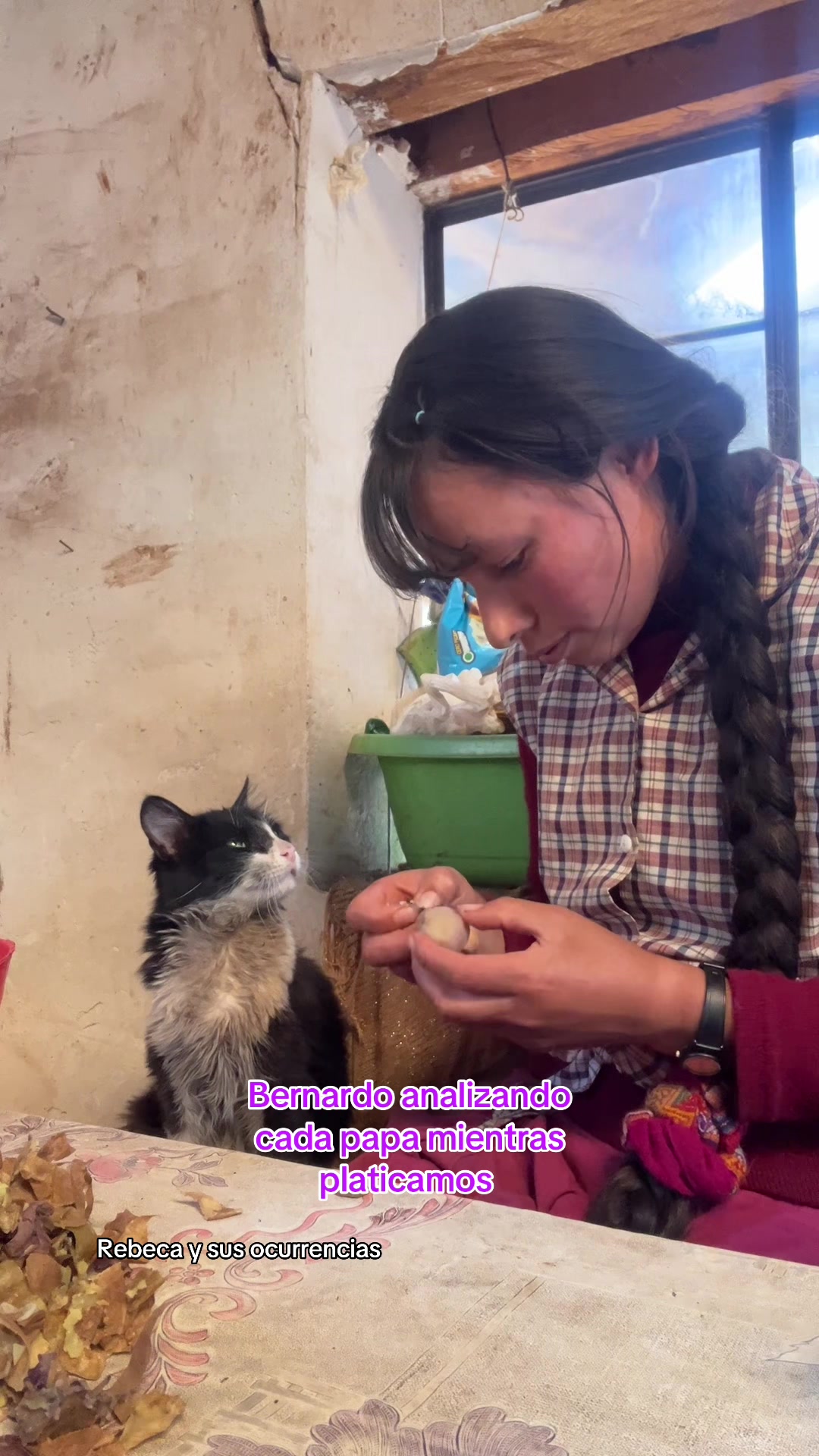 @🐈Rebeca y sus ocurrencias