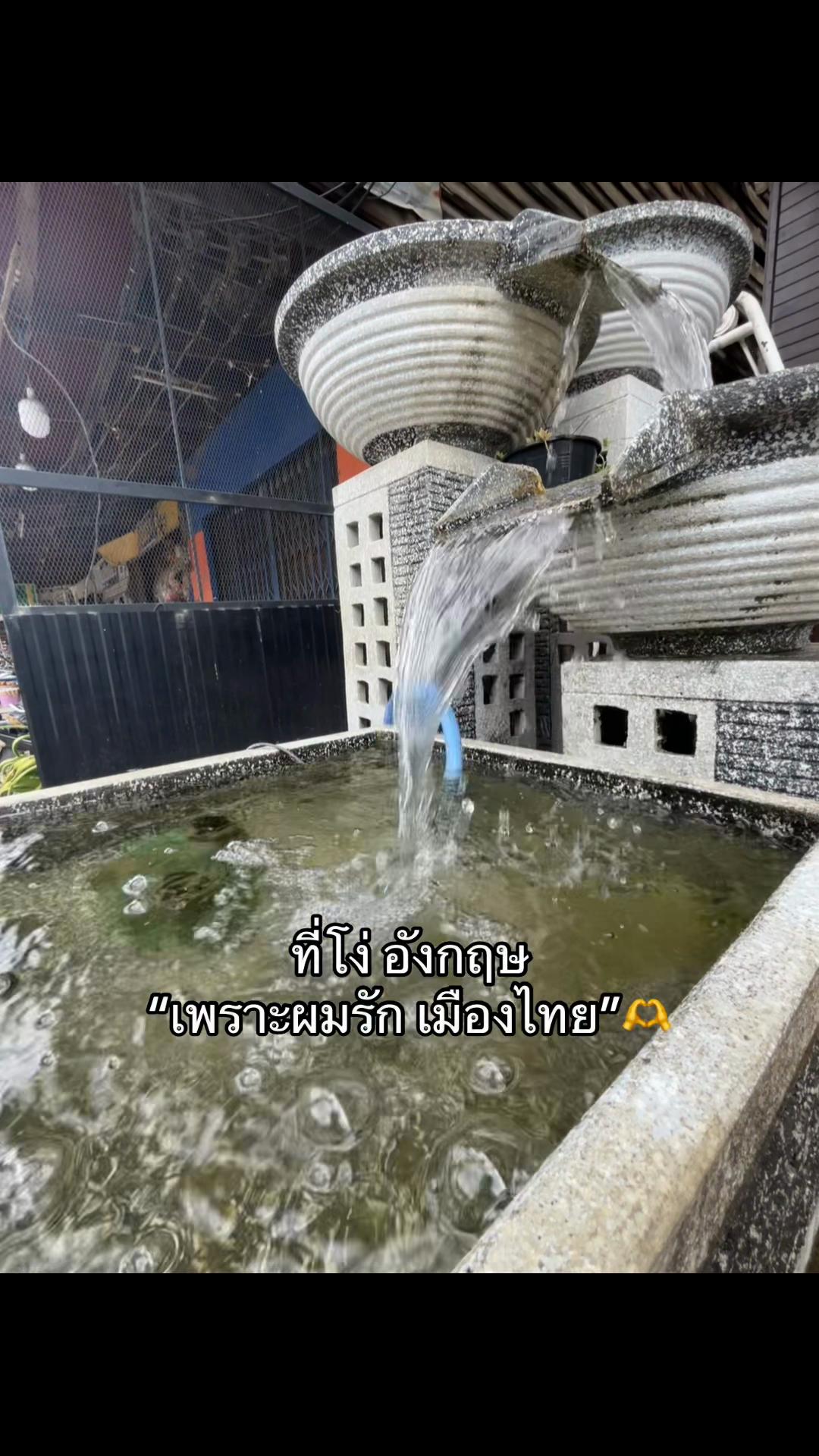 @🩶กรีน🖤