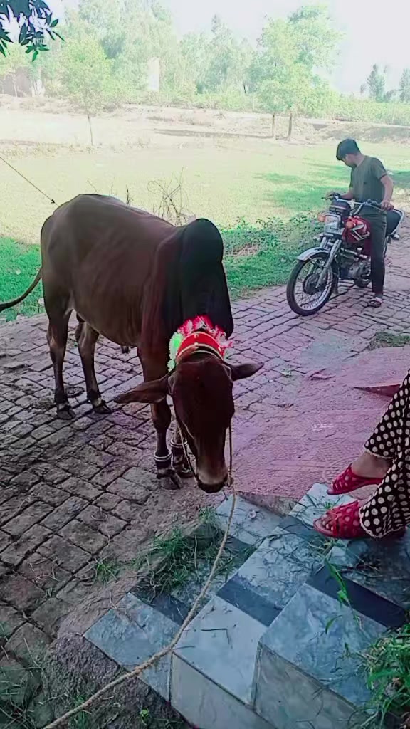 @naseerali 119