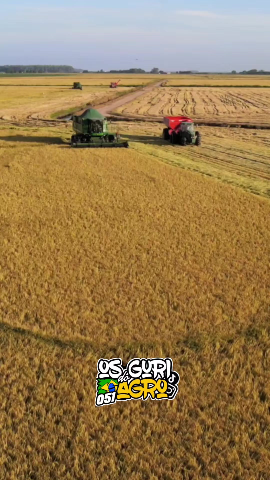 @osguridoagro051