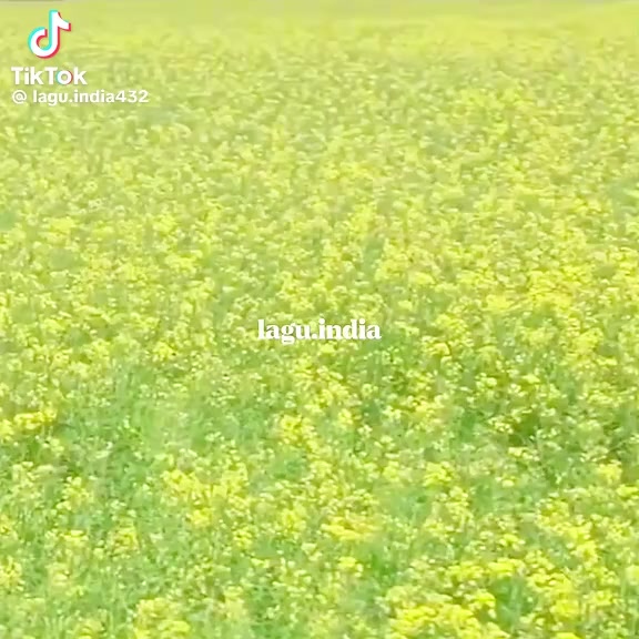 @🕉️ Deravanee Vani Narine 🕉️