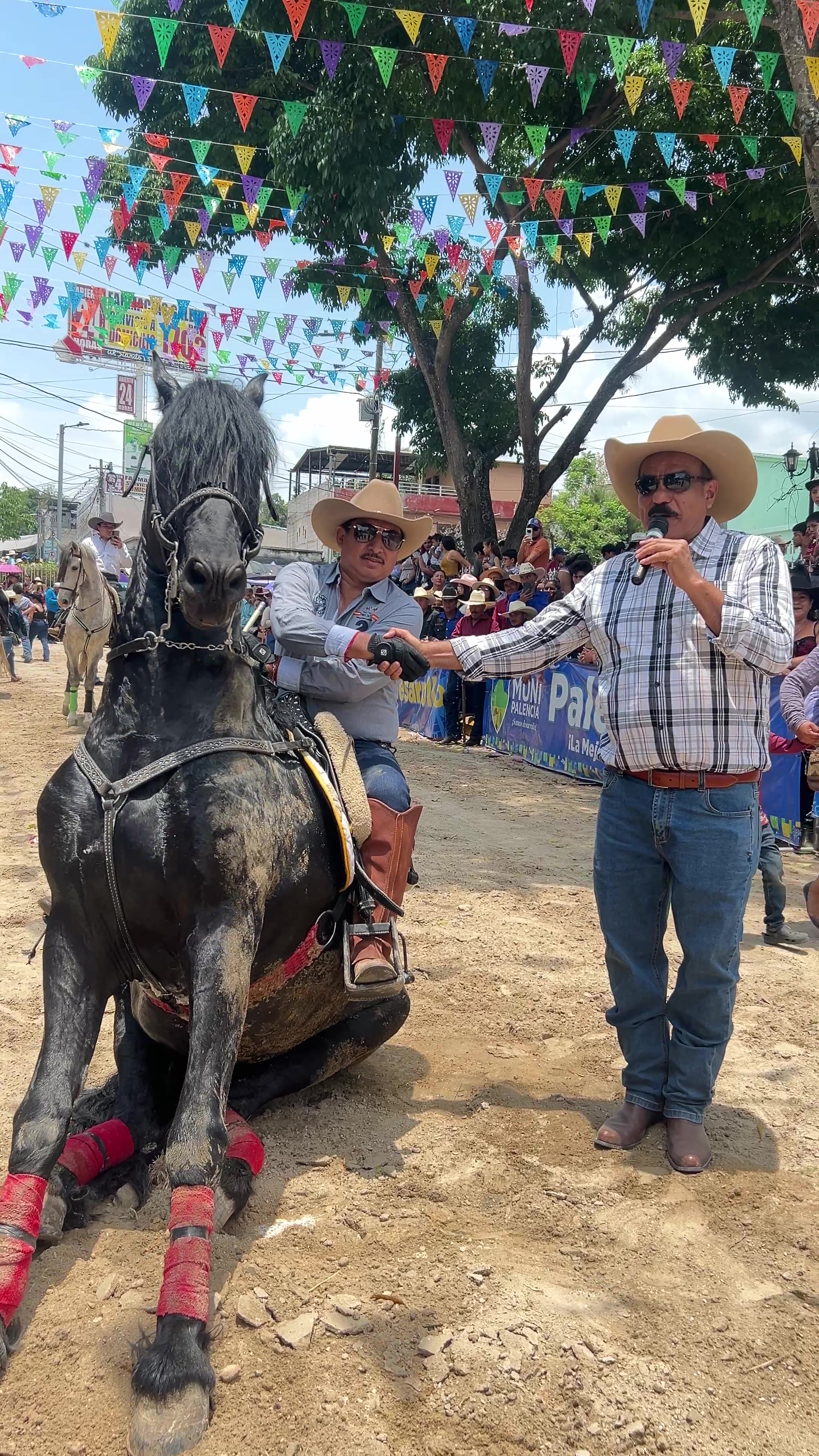 @Municipalidad de Palencia