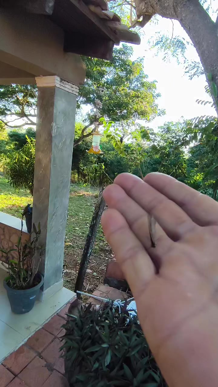 @IRA&Iacute; ANTUNES