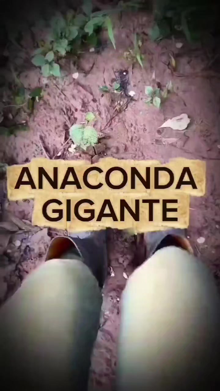 @Nando Barron