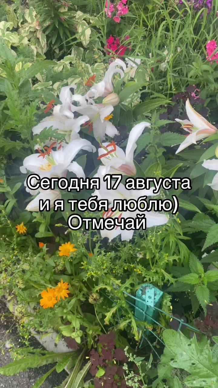 @Данил