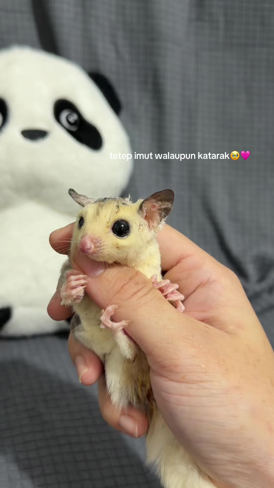 @Kazamiw🌙