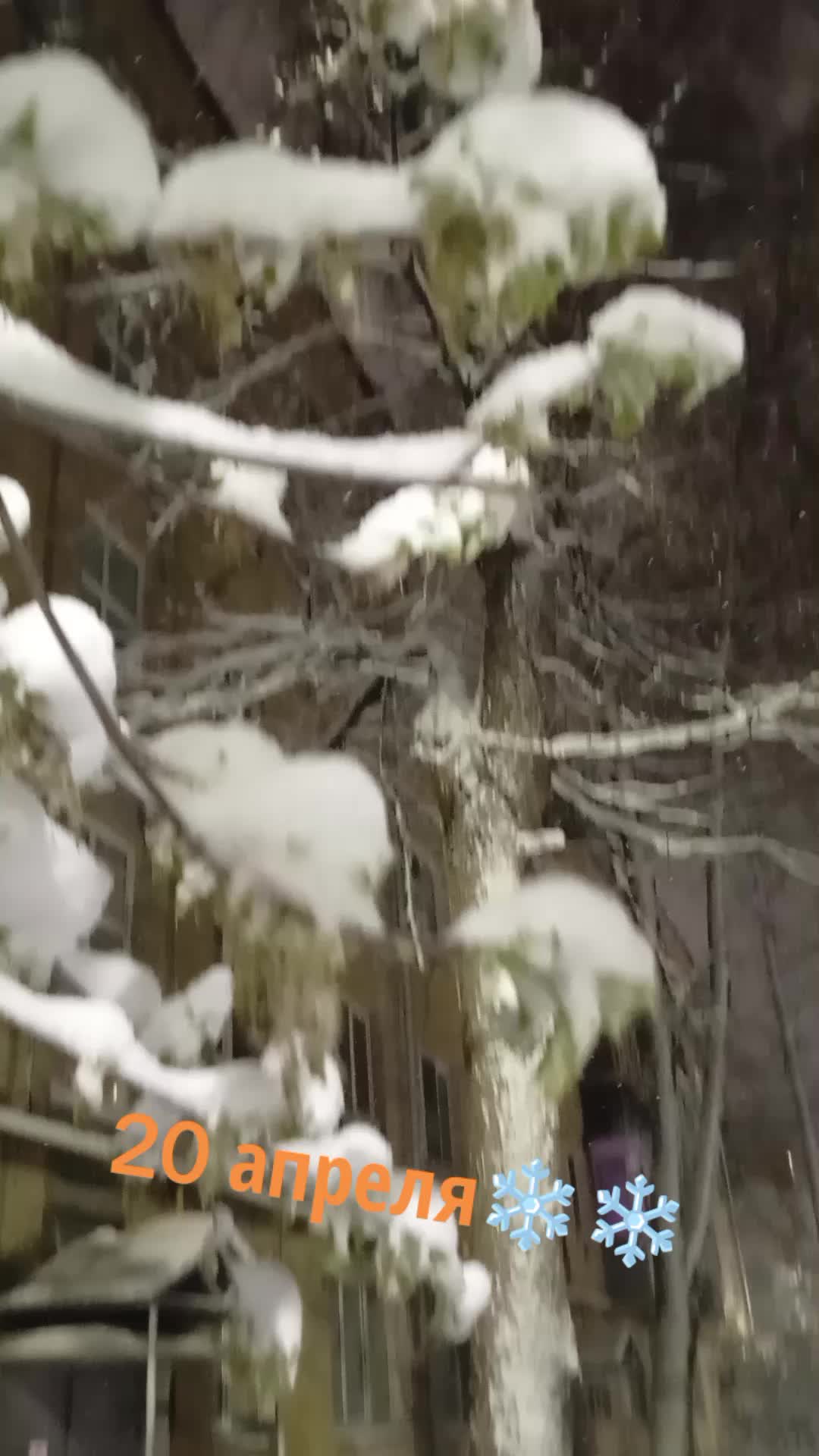 @Елена