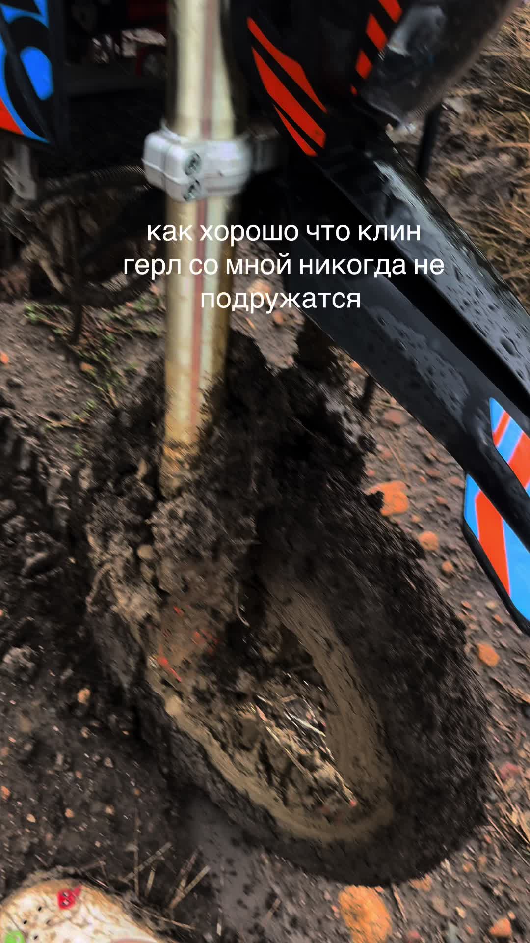 @🦊