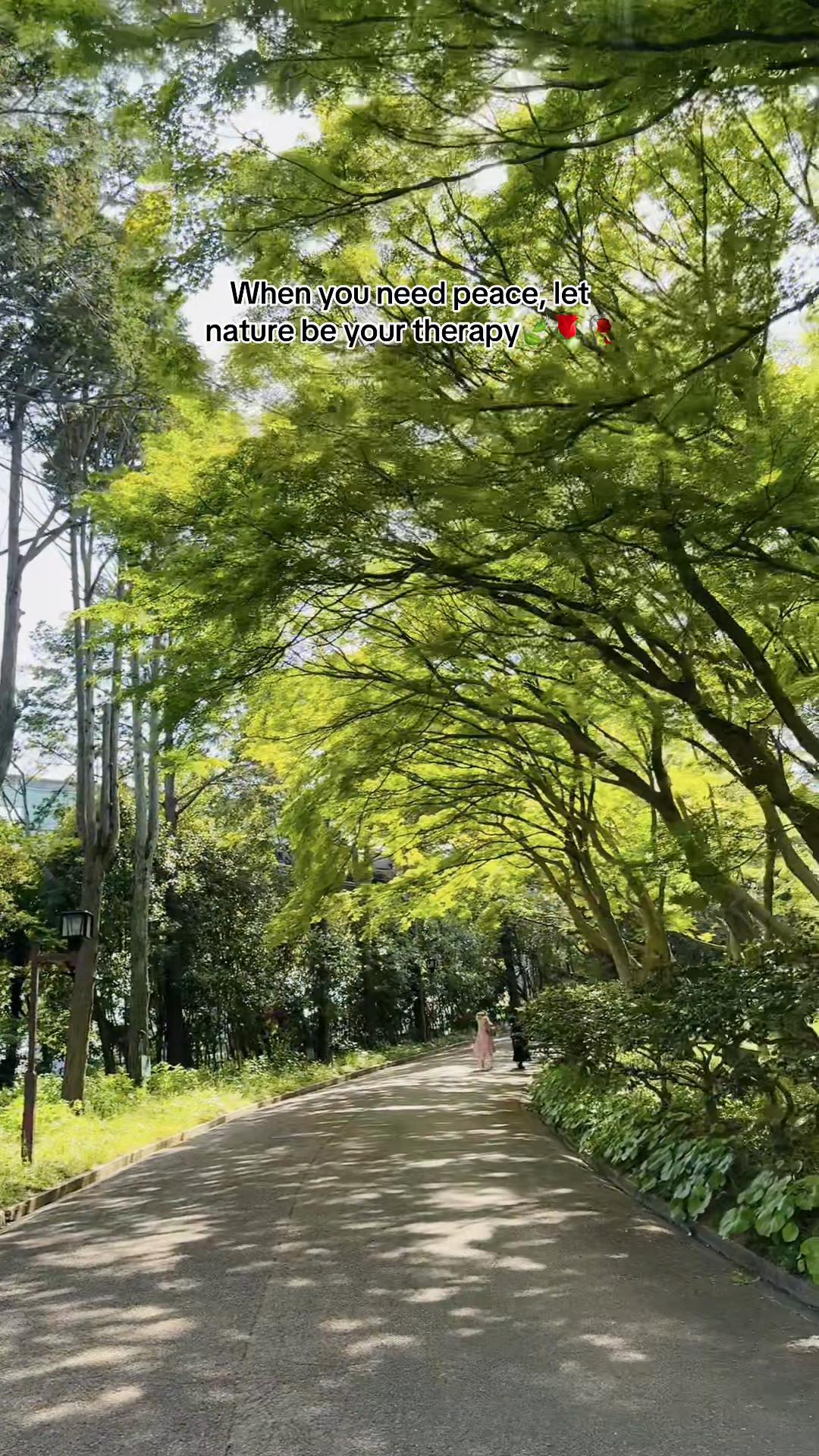 @🤞🇳🇵PyAri🇯🇵🦋