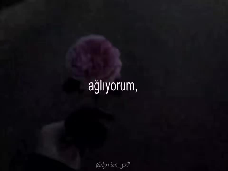 @yasyas🐙