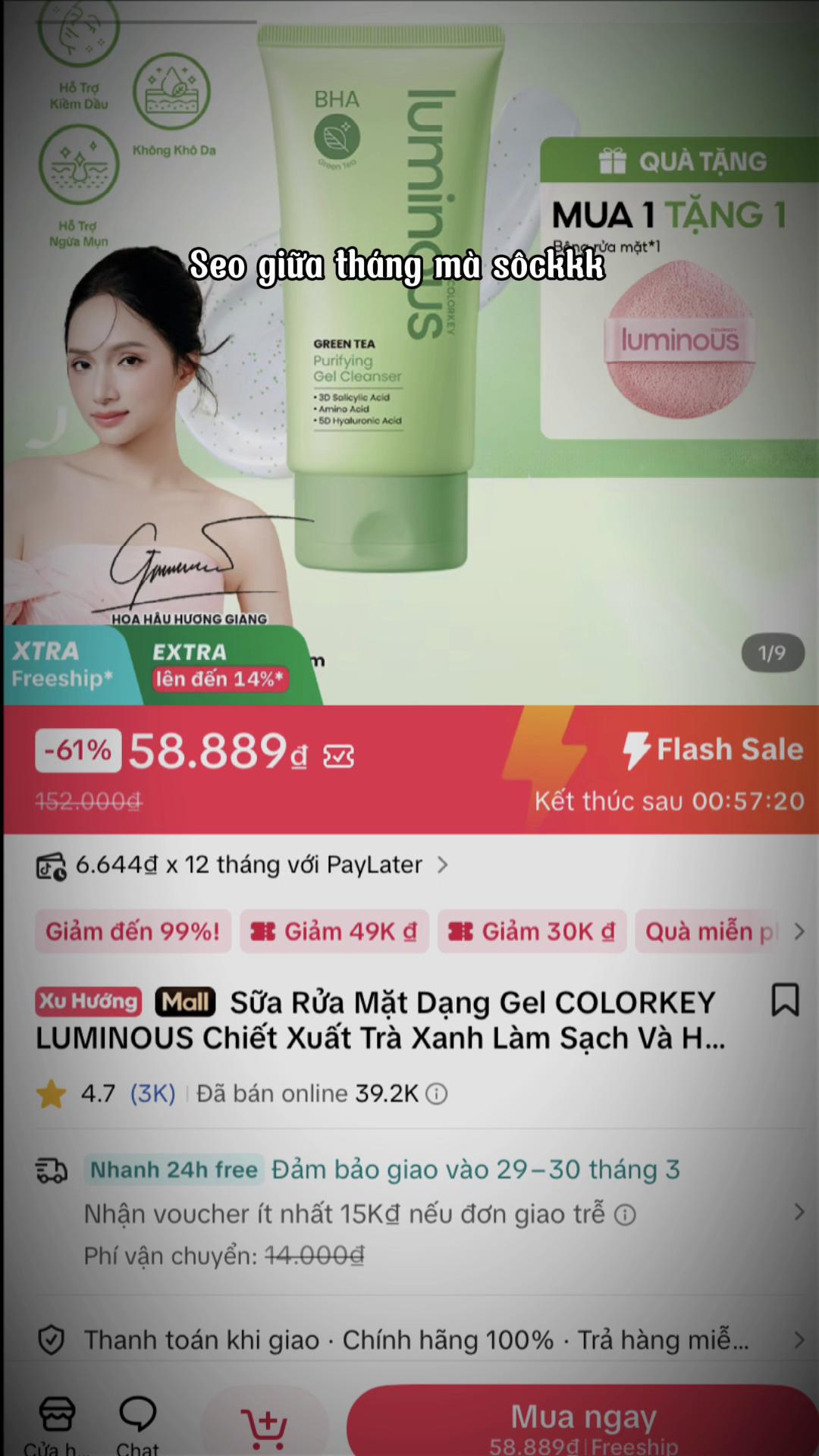 @Nhà hoa mai