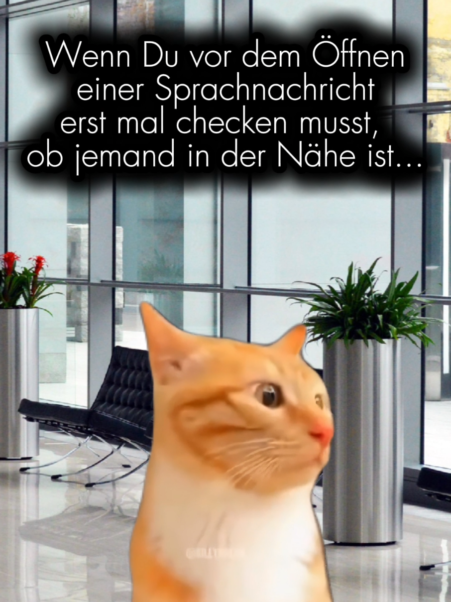 @storfine