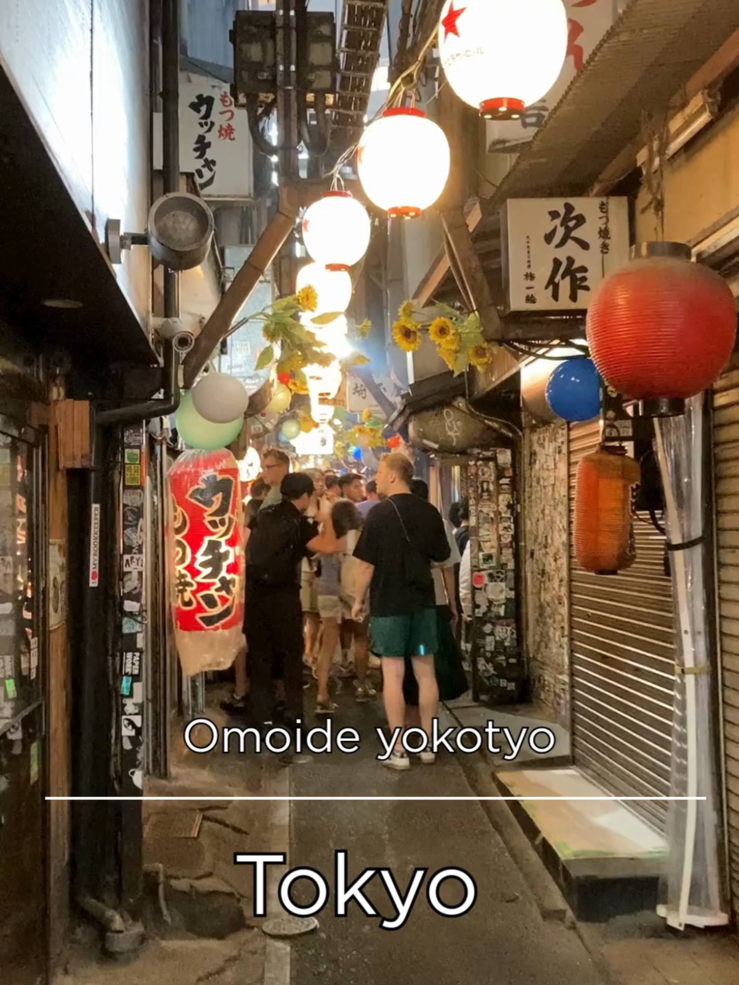 @PREIDICTOR Travel【japan trip】