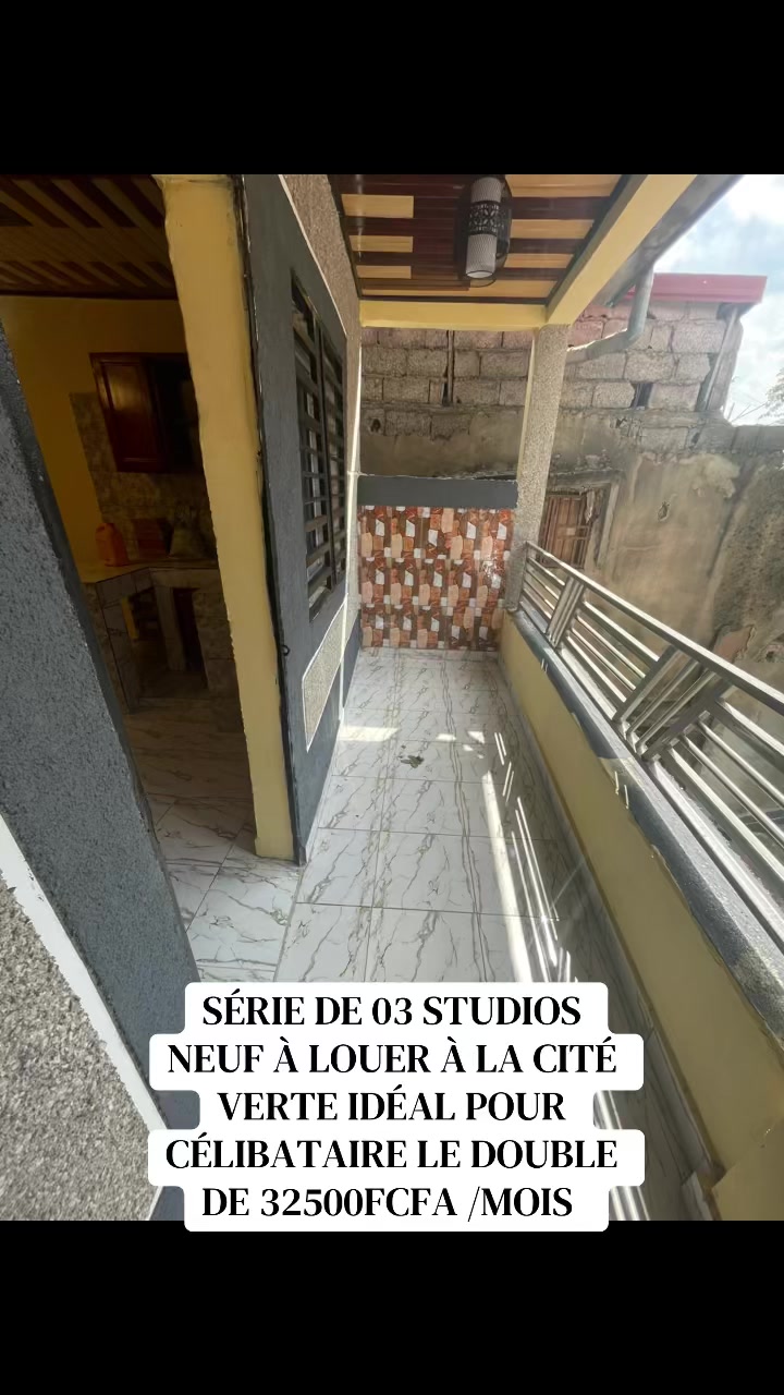 @DINO~IMMO~237🇨🇲🇨🇲