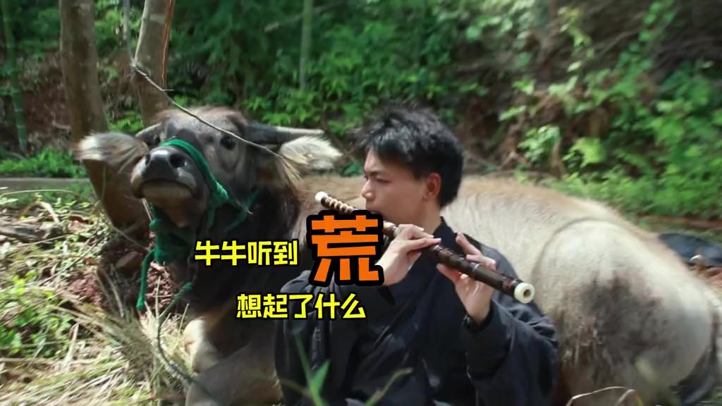 @🎋爱竹笛 Đam M&ecirc; S&aacute;o Tr&uacute;c 🪈