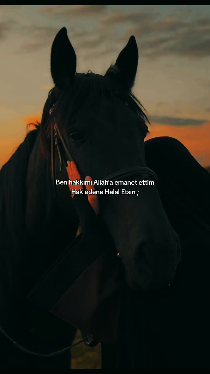 @༄𝑒𝑓𝑡𝑒𝑙𝑦𝑎༄