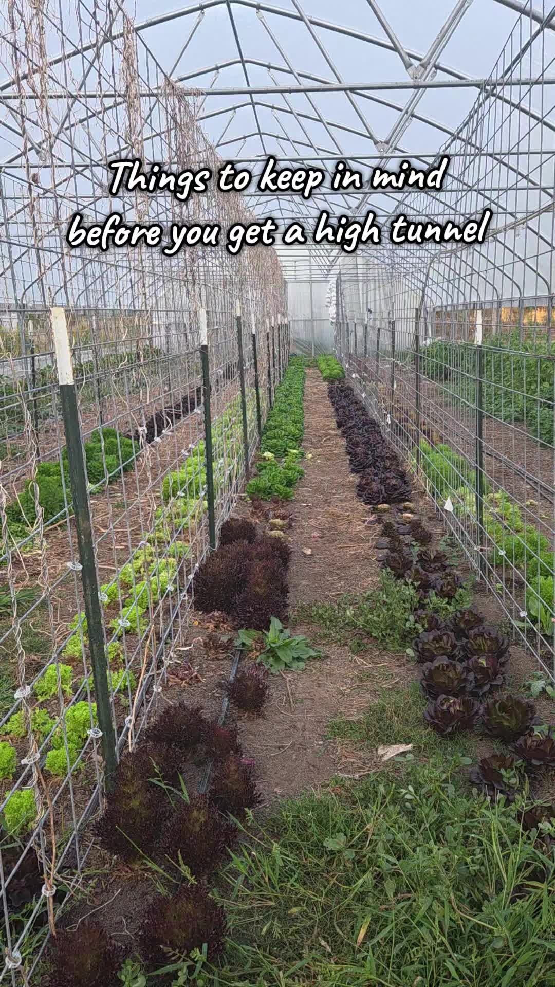 @DelaterrePermacultureFarm