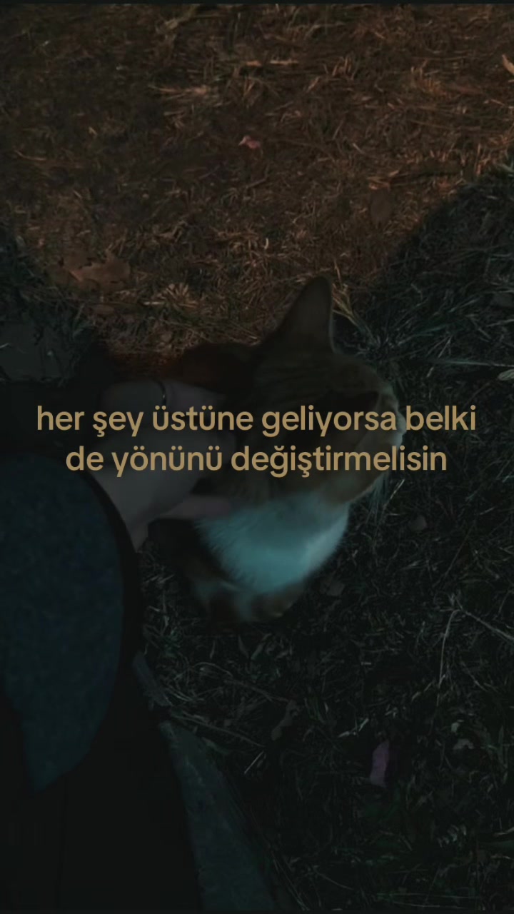 @bendenizdem