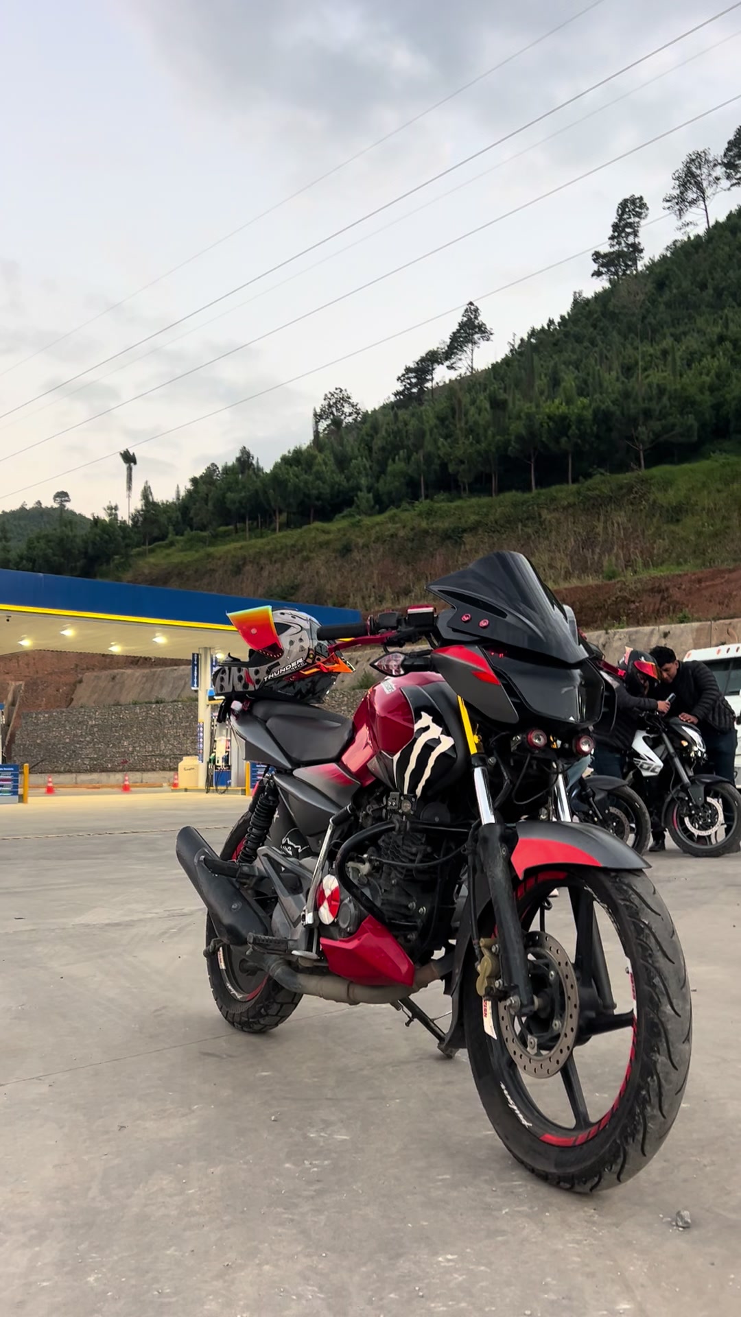 @Mininocturna🚀