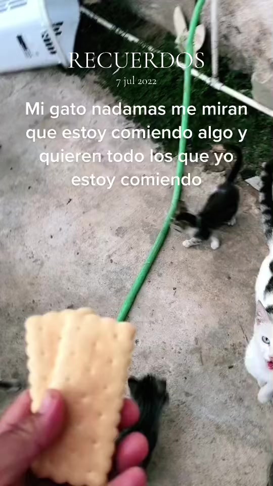 @Mi bella Prinsesa👑💕que adoro