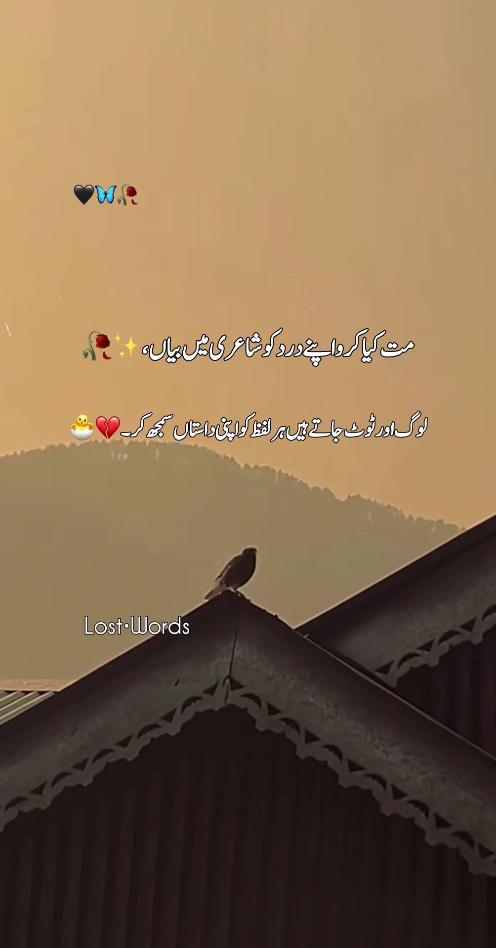 @Silᴇnt Scᴀʀs
