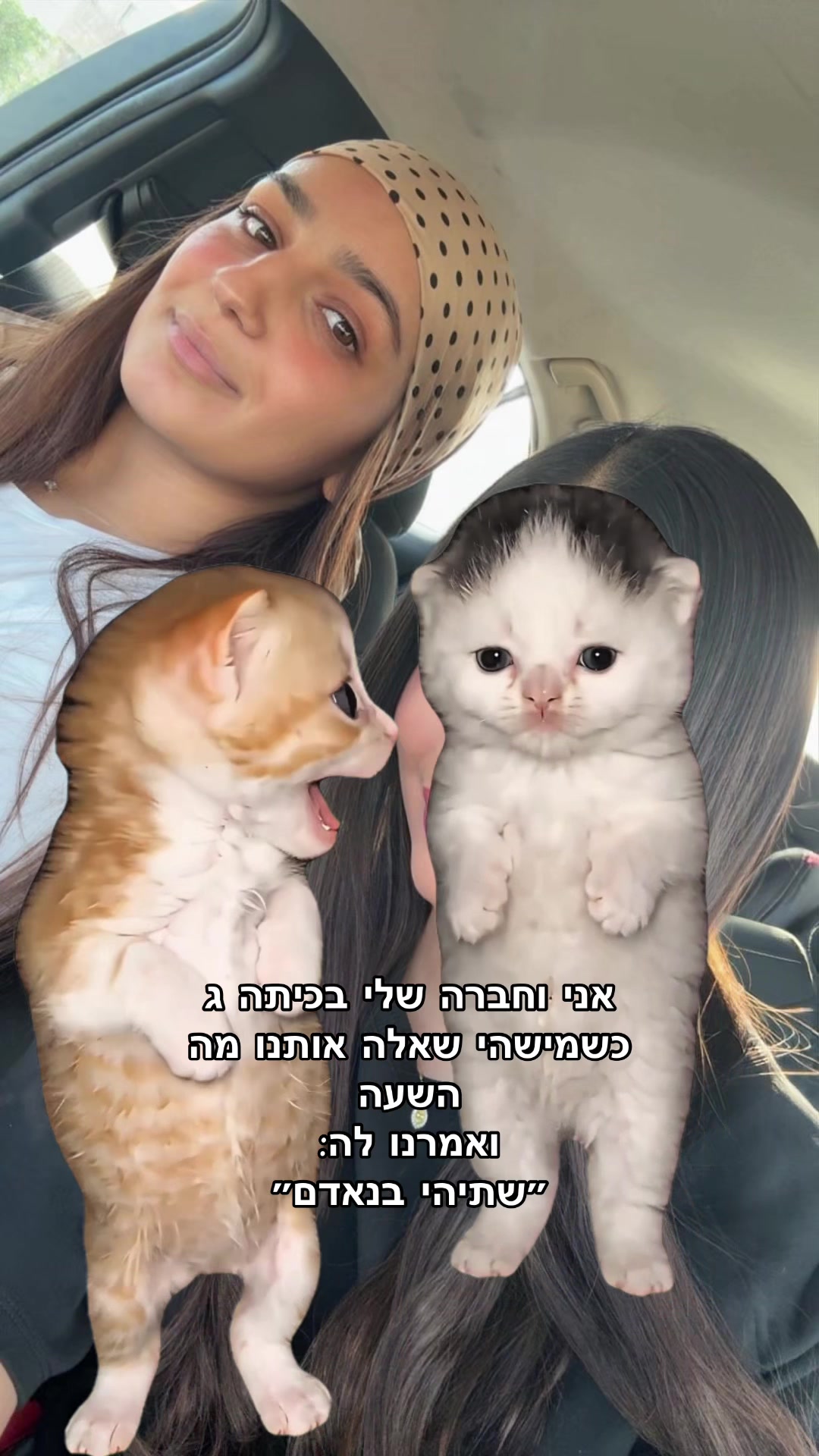 @hanimalca