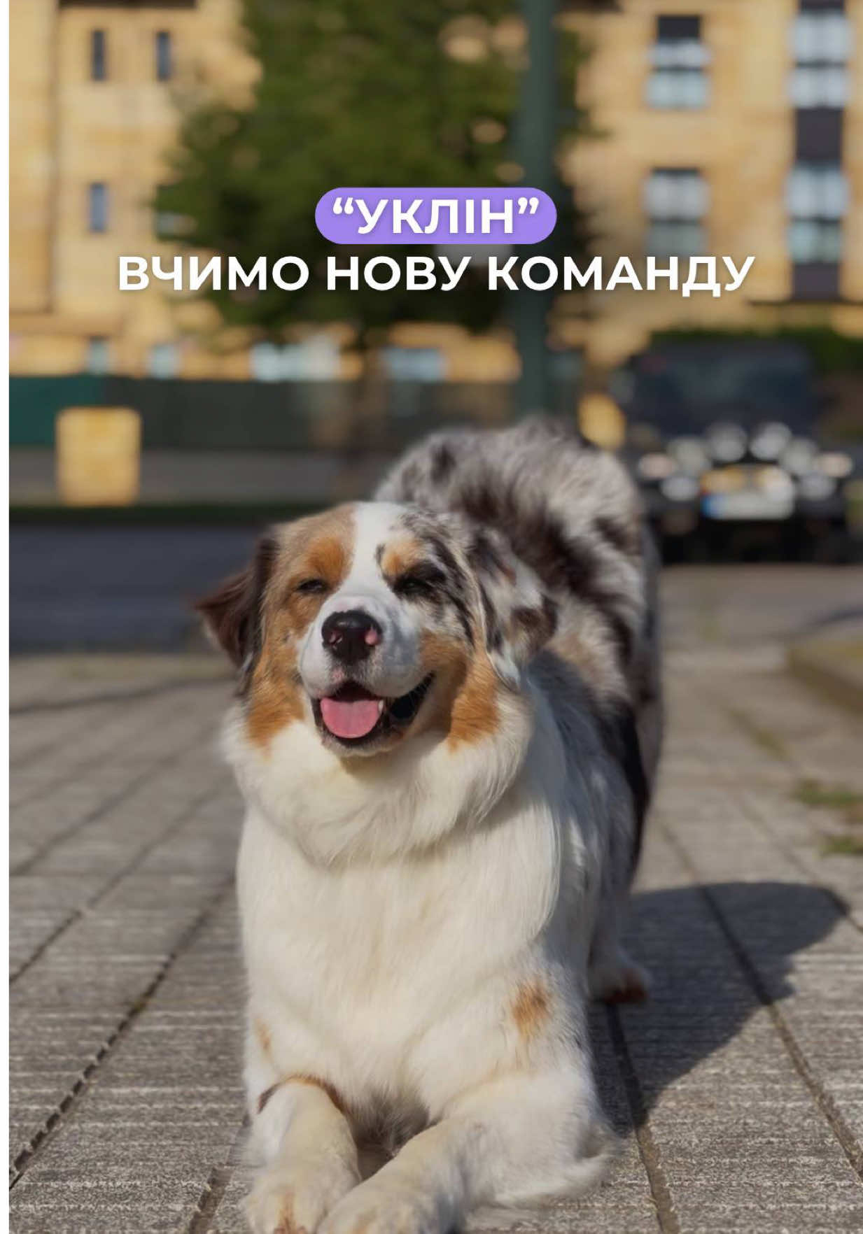 @kinolog.school