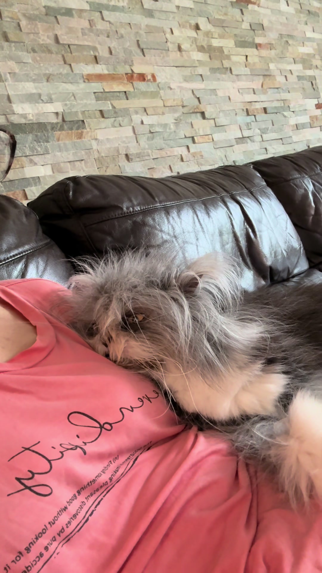 @atchoumthecat