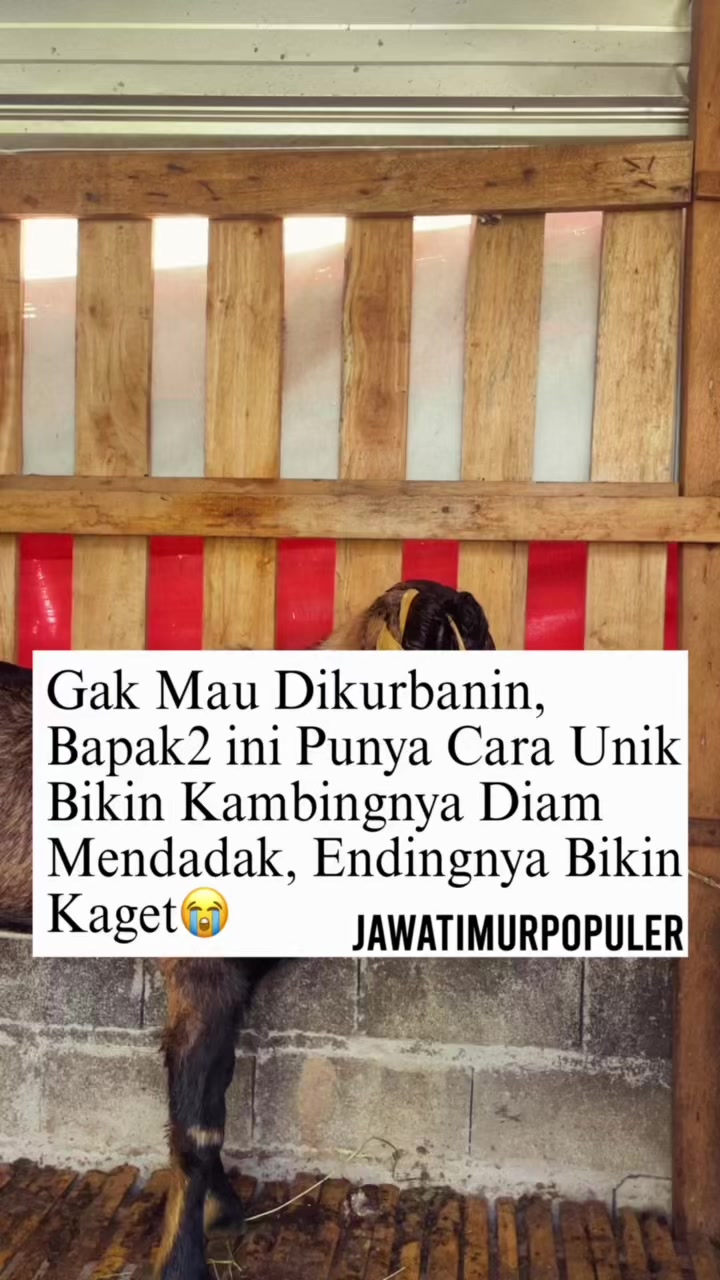 @jawatimurpopuler