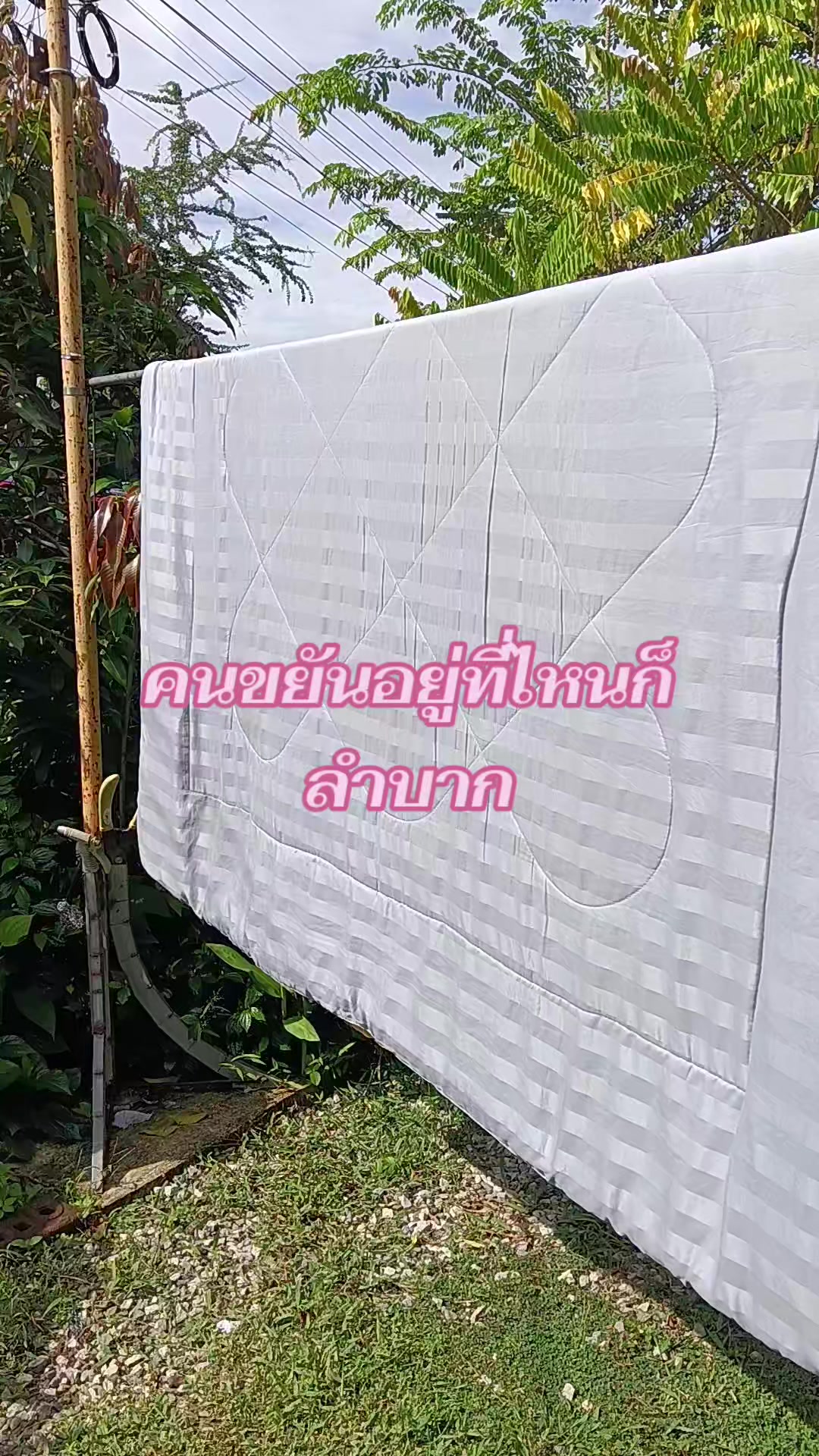 @pranee