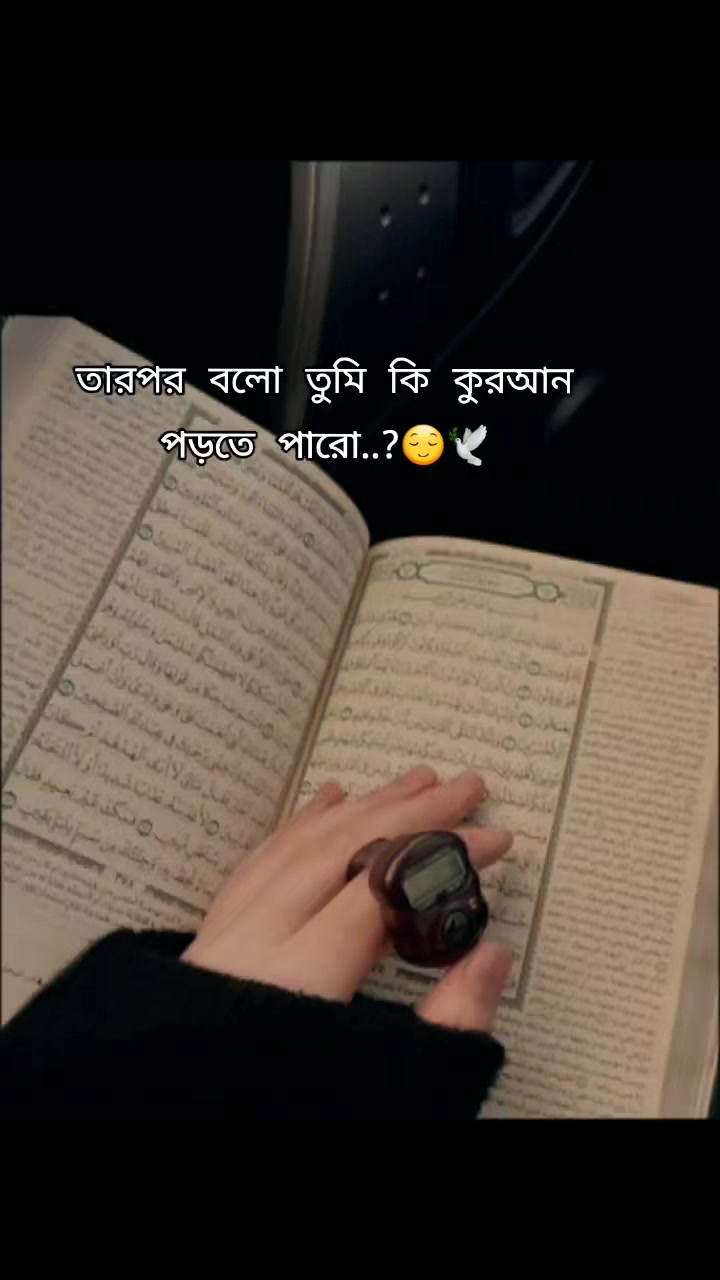 @↬❃𝗥𝗢𝗦𝗘❃↫