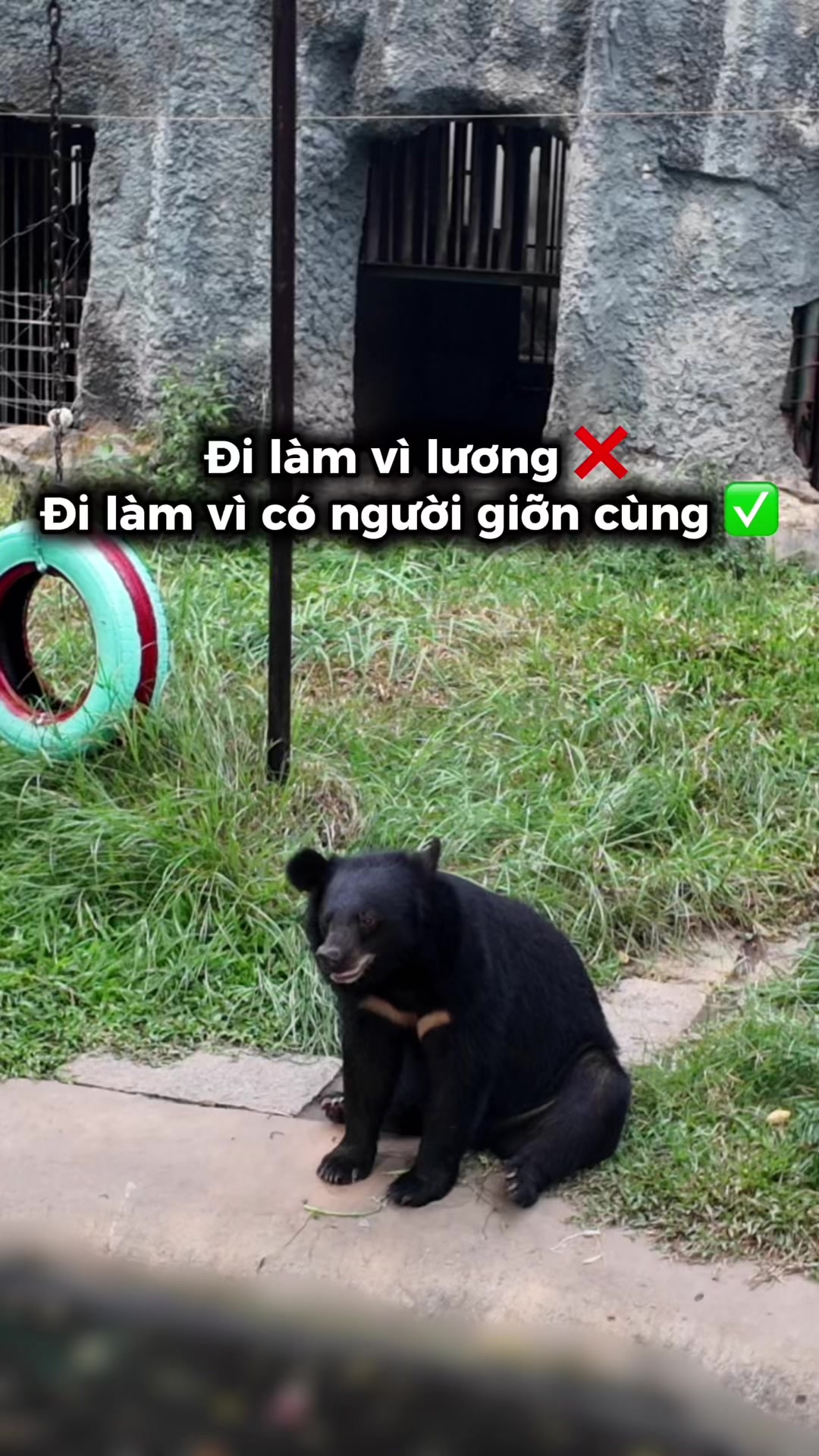 @C&ocirc;ng vi&ecirc;n văn h&oacute;a Đầm Sen