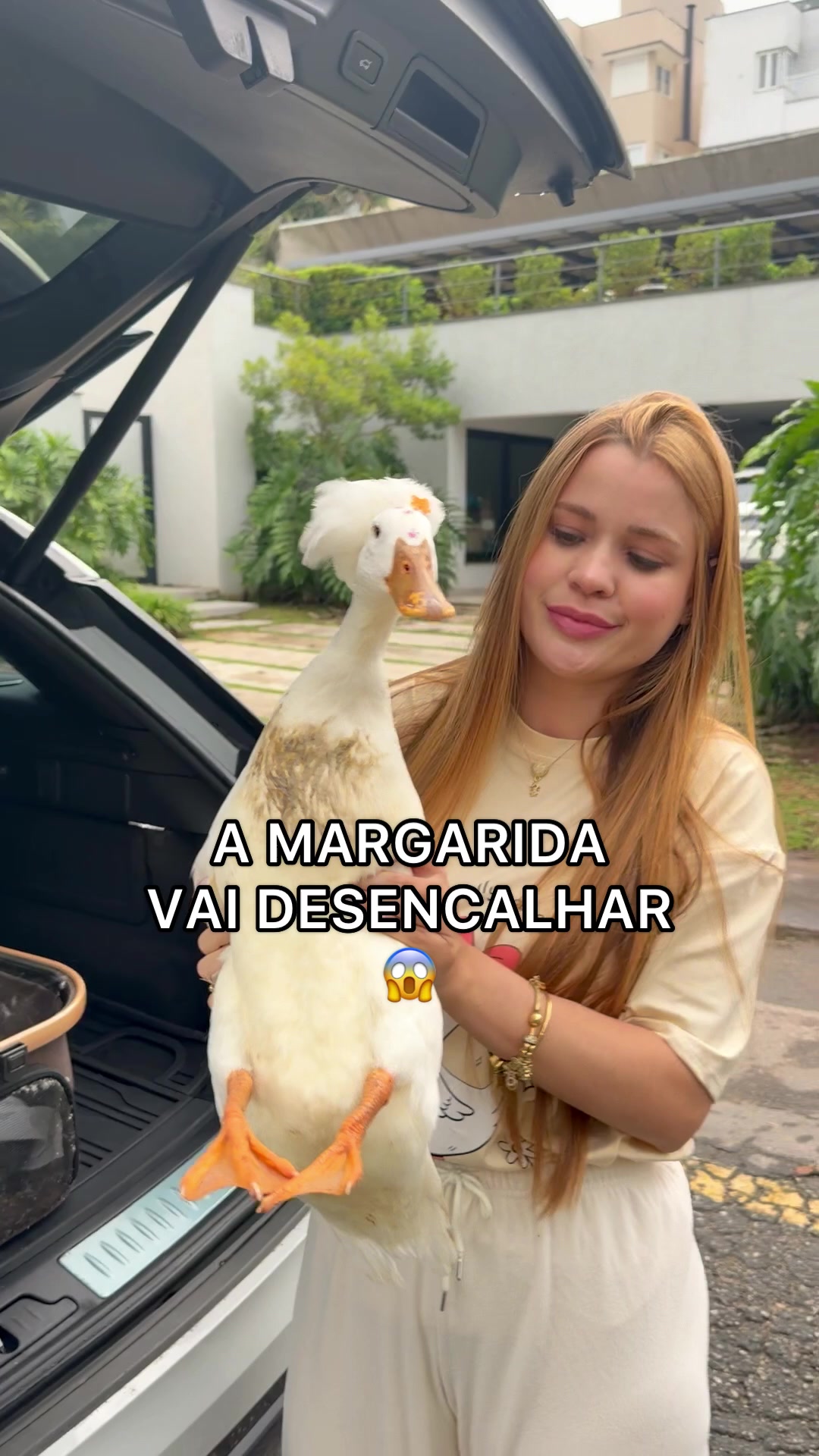 @Julia Olympio