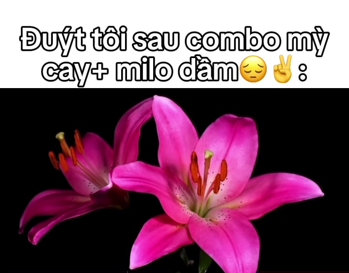 @Lil tốc độ🥀