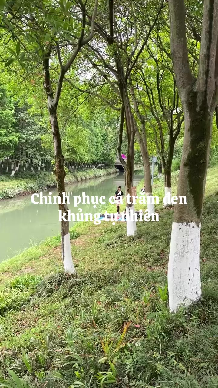 @Nguyễn Đức Tiến