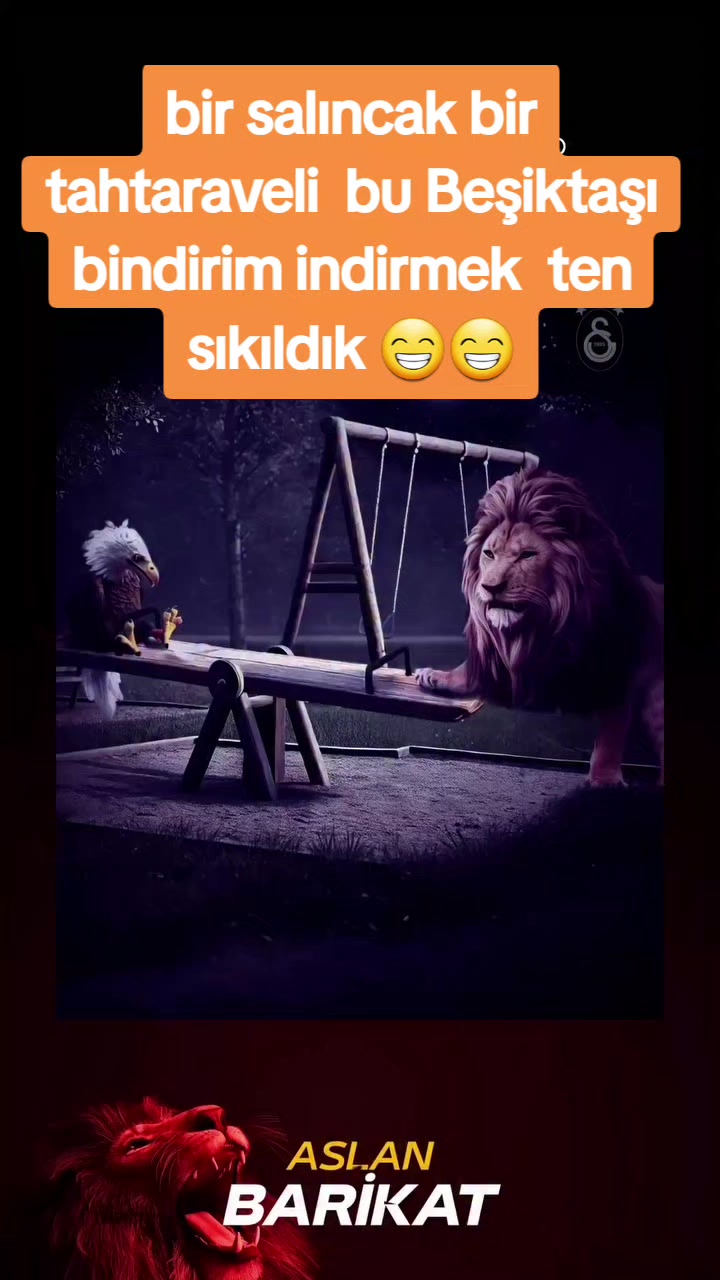 @yusufçayır❤1905💛