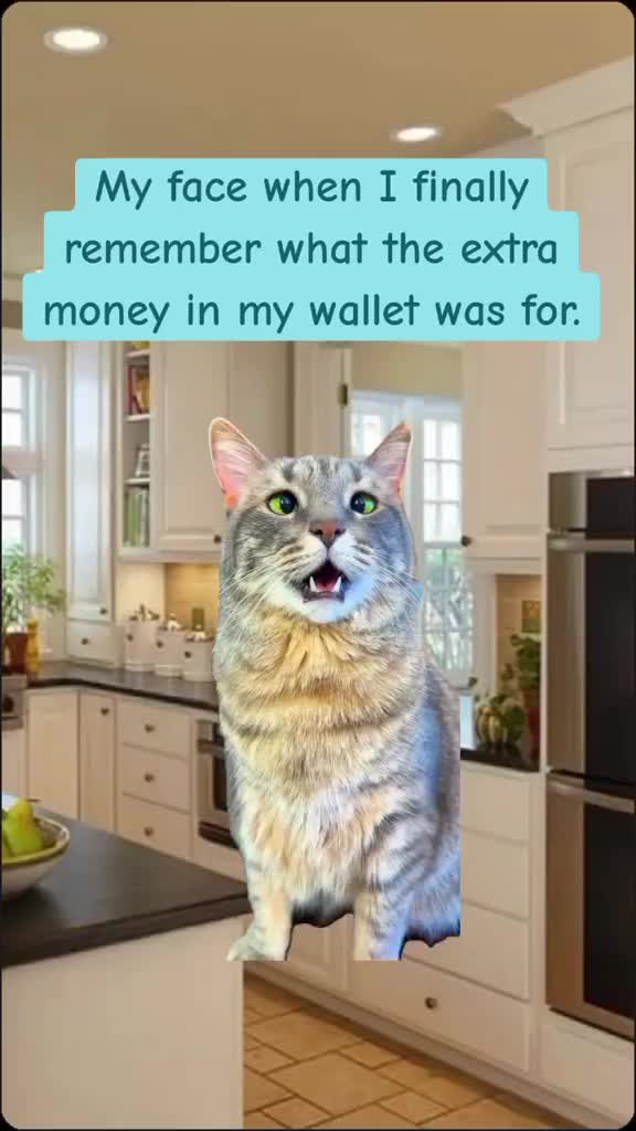 @webby_1981