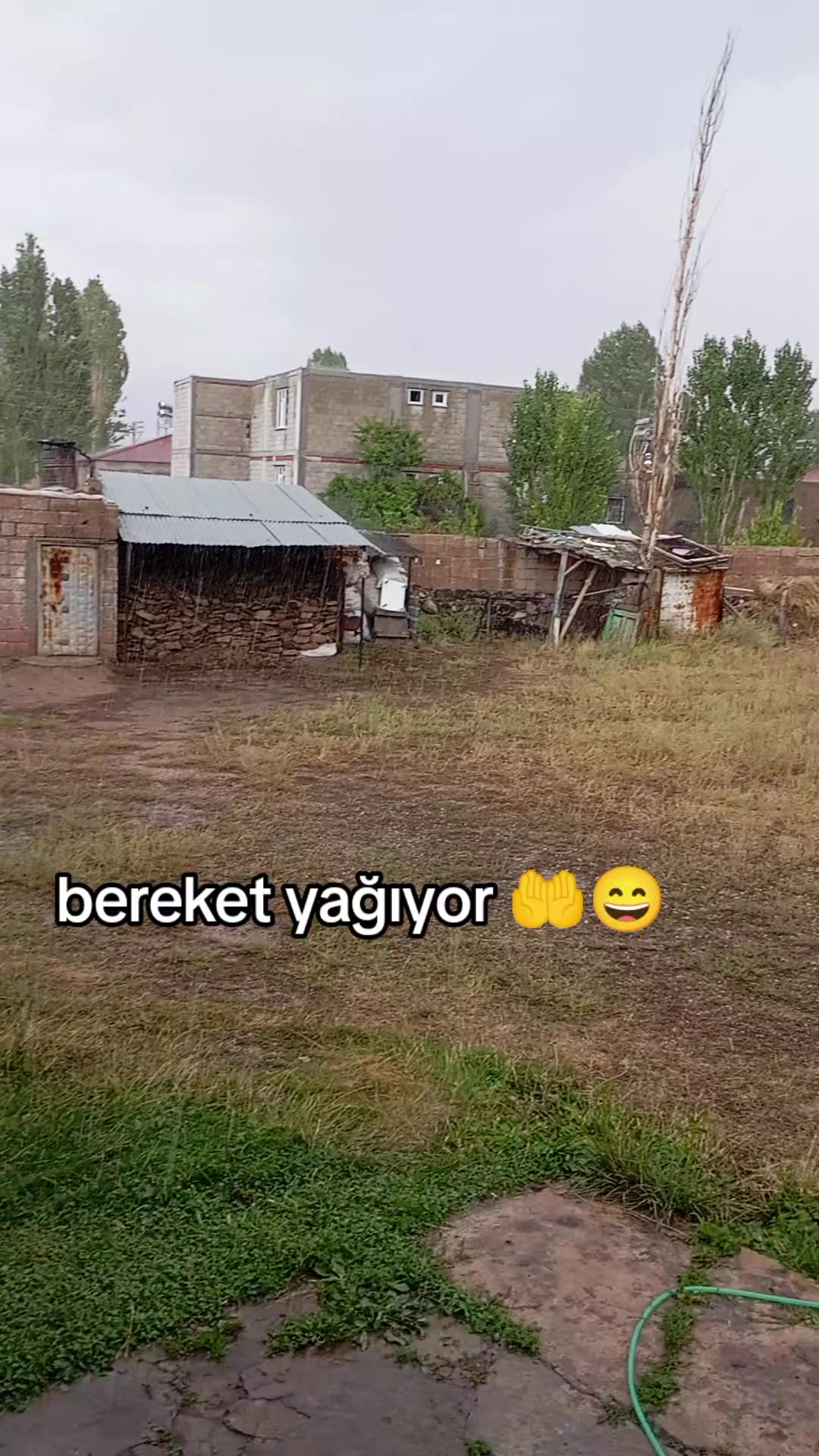 @bazidli adem04