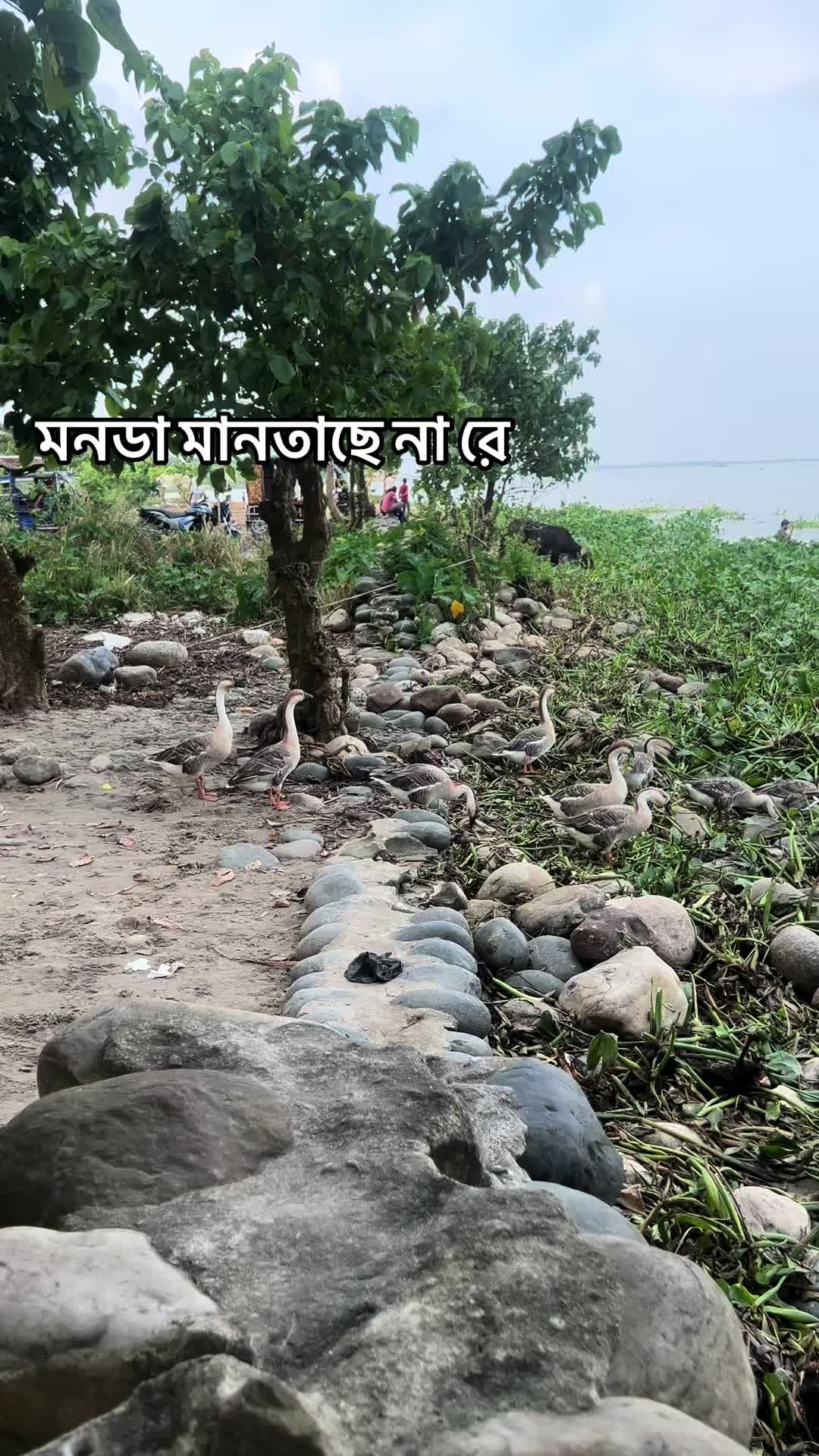 @𝐌.𝐎.𝐒.𝐓.𝐎.𝐅.