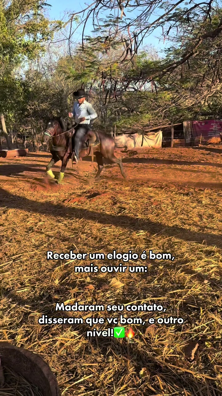 @mateusandrade9837