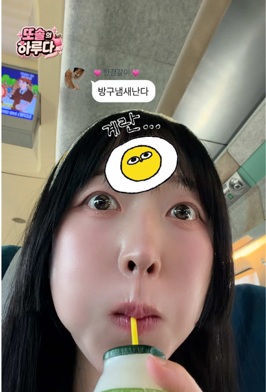 @또솔 DDO_SOL