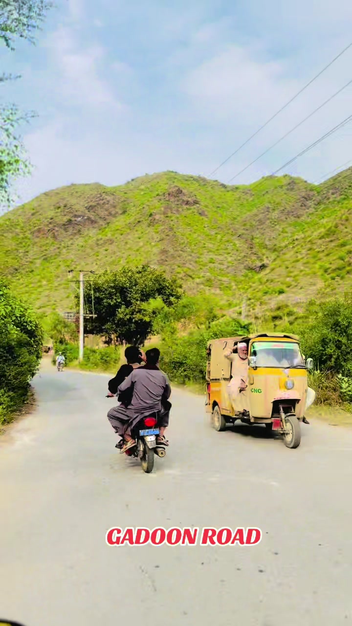 @شیرزمین